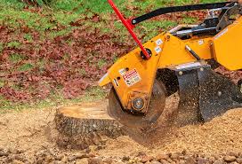 Lawn Pest Prevention in Anthony, NM